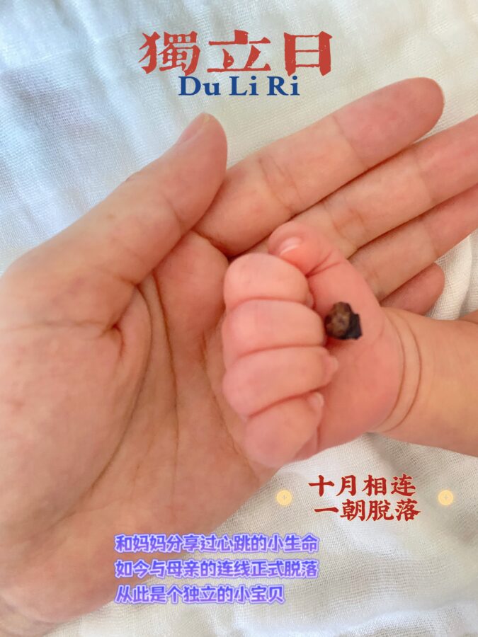 脐带脱落日，宝宝的独立日